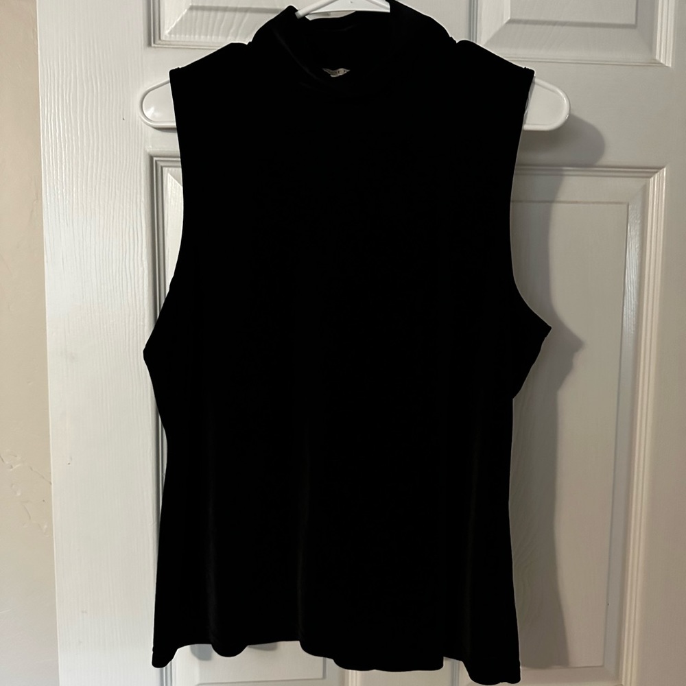 Black Velvet top half turtle neck
